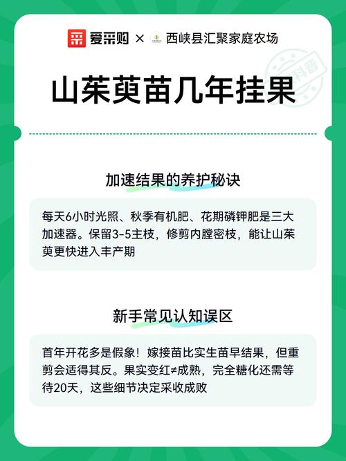 运输因素对价格的影响