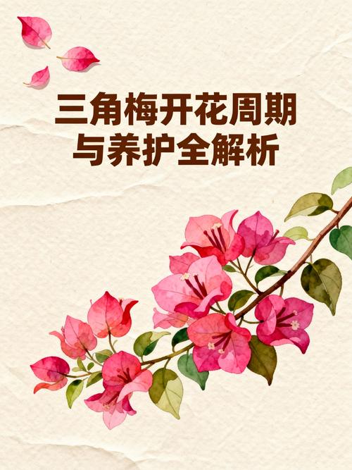 六月份促花养护步骤（可执行操作）
