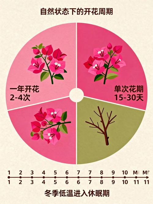 常见问题（FAQ）