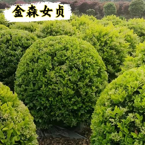 三、产地与物流成本差异