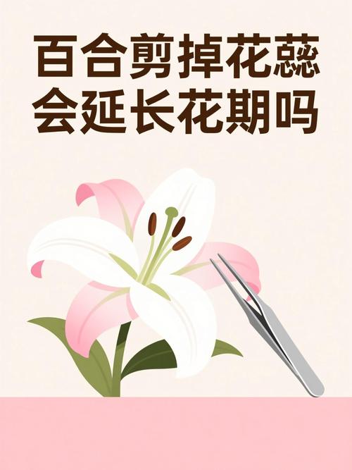 光照与水肥精准方案