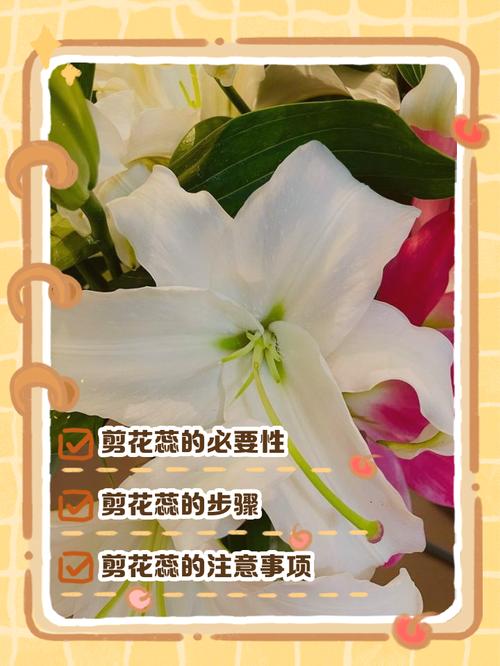常见误区与纠正
