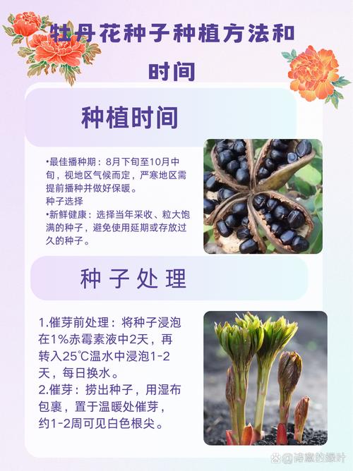八月炸在河南能种植吗?耐寒性与高产栽培全指南 七、越冬与日常管理要点