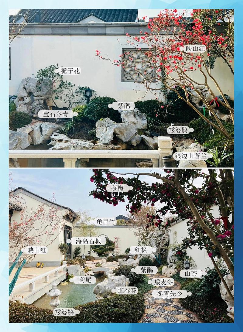 庭院植树位置指南:科学选择与合理布局,打造四季美景 二、不同方位与区域的植树推荐