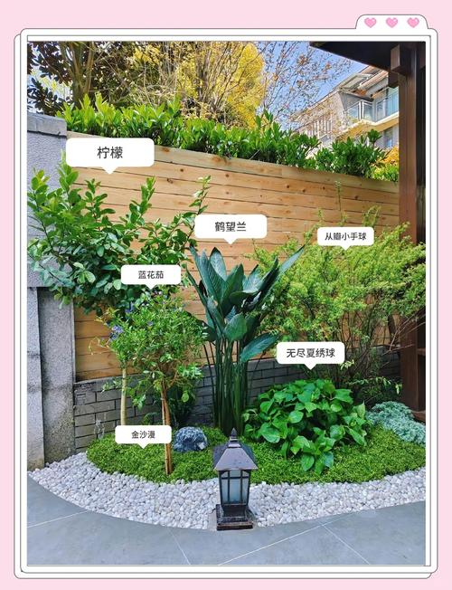 庭院植树位置指南:科学选择与合理布局,打造四季美景 三、常见风险提示与应对策略