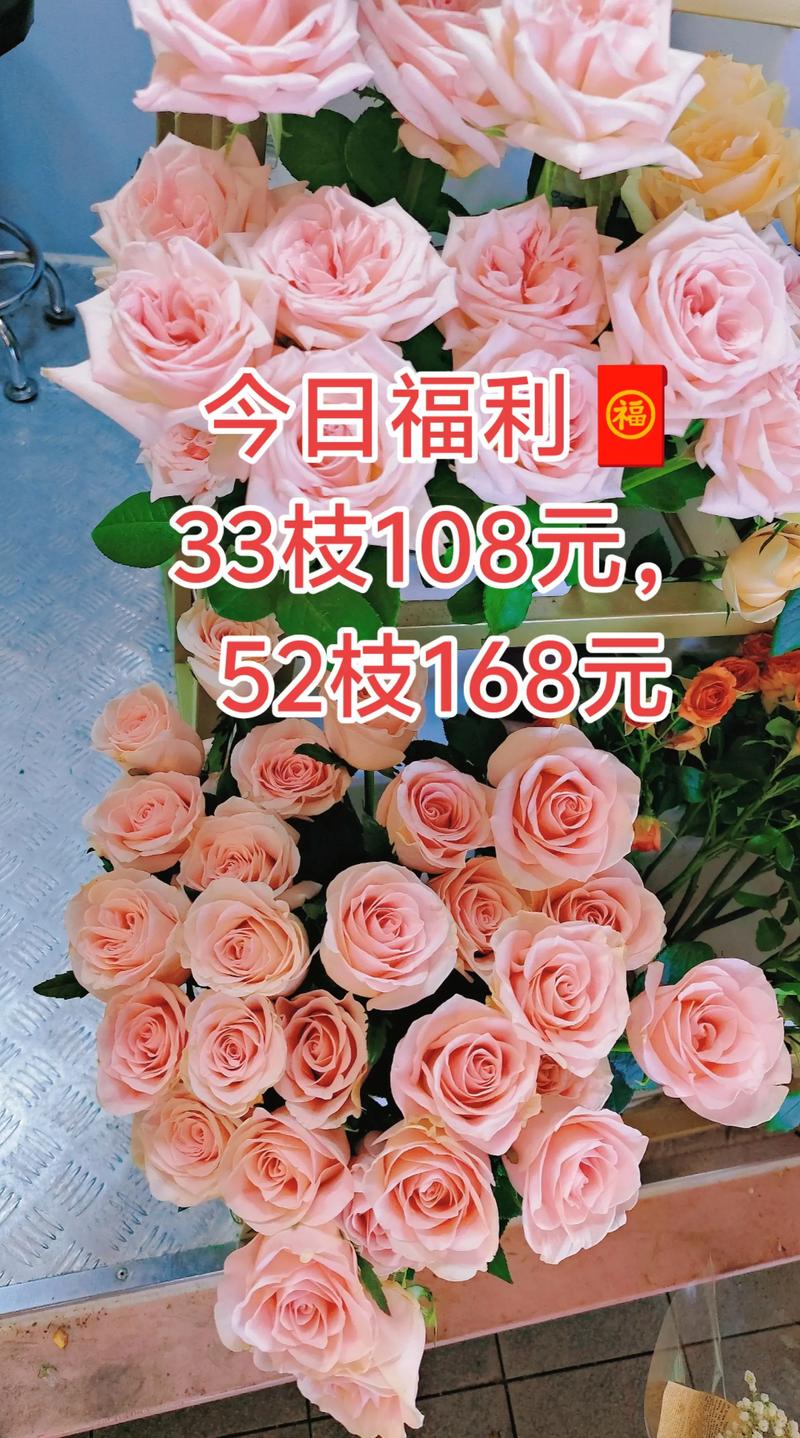 现在鲜切玫瑰多少钱?2025年价格行情参考 价格快速参考