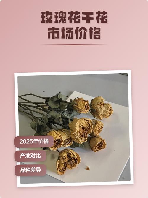 现在鲜切玫瑰多少钱?2025年价格行情参考 运输费用占比