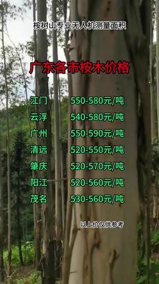 速生桉树多少钱一吨?2025年价格参考区间与五大影响因素 FAQ:速生桉树价格常见问题