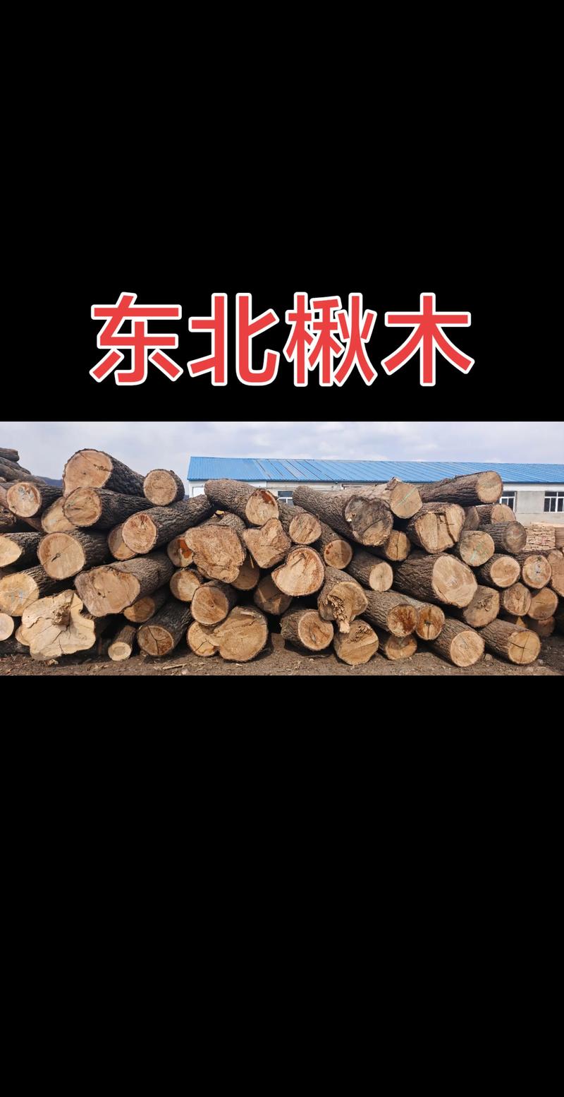 楸树木材价格是多少?规格、产地、采购量影响报价 楸树木材价格是多少?规格、产地、采购量影响报价