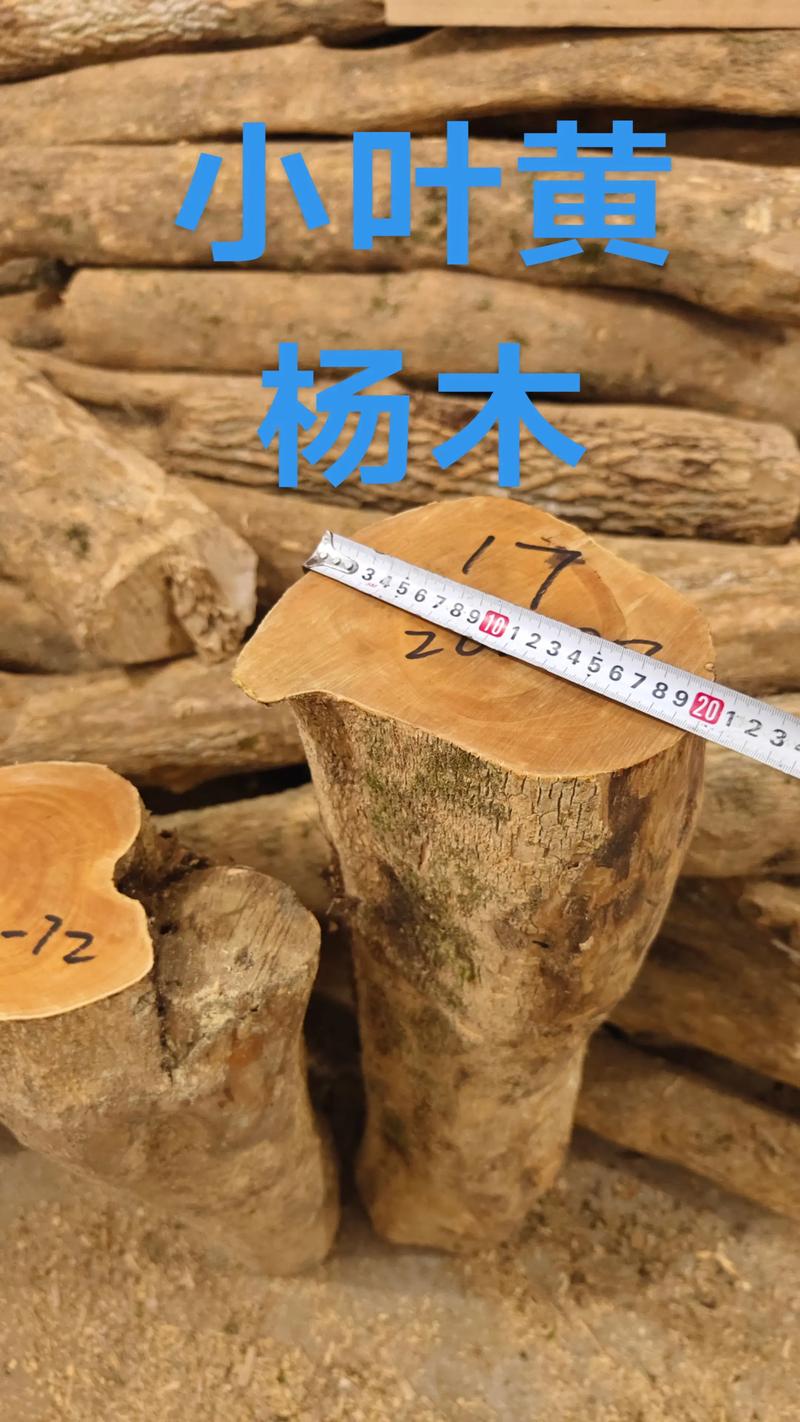 季节：淡旺季价差可达20%-30%