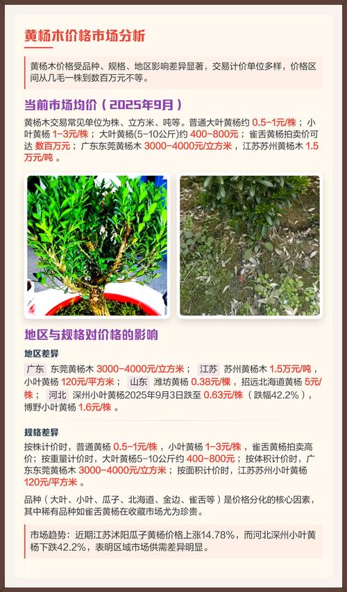 常见问题与咨询指南