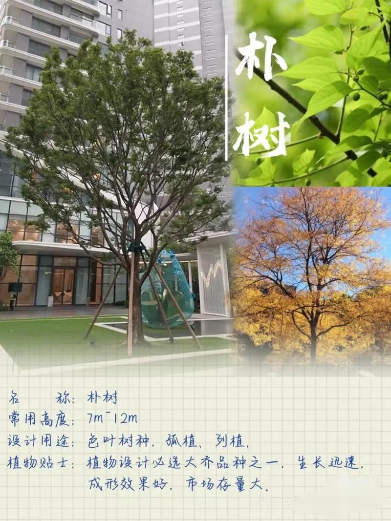 常见问题