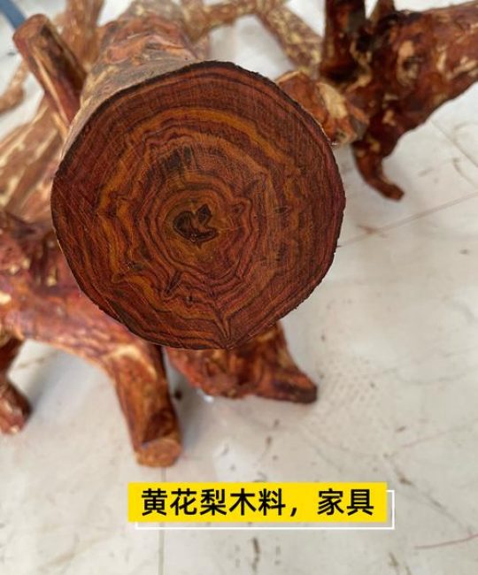 小叶黄檀是名贵木材吗？一文读懂它的身世与价值