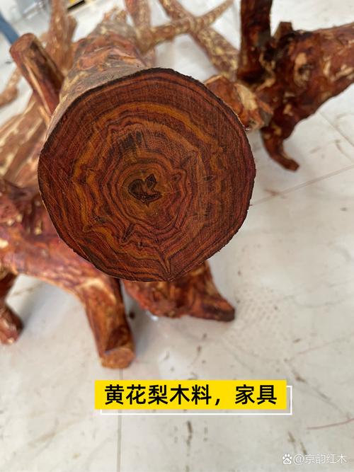 一、名实之辨：小叶黄檀到底是谁？