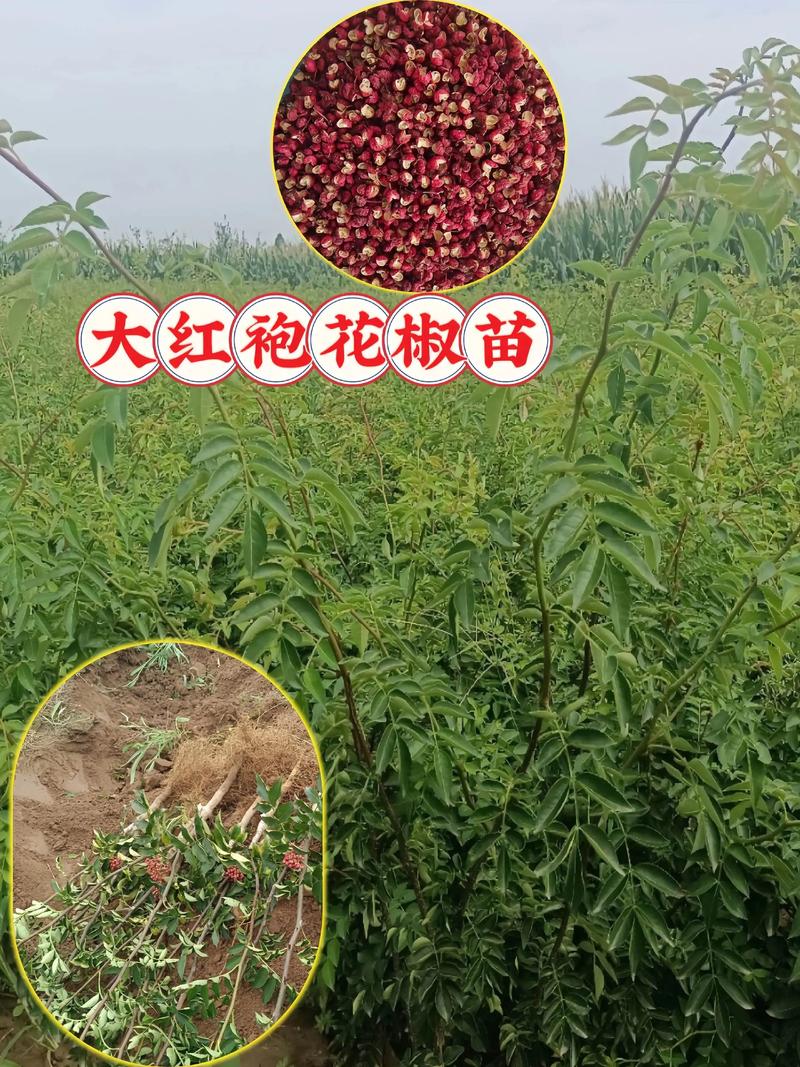 运输：物流成本占比10%～30%