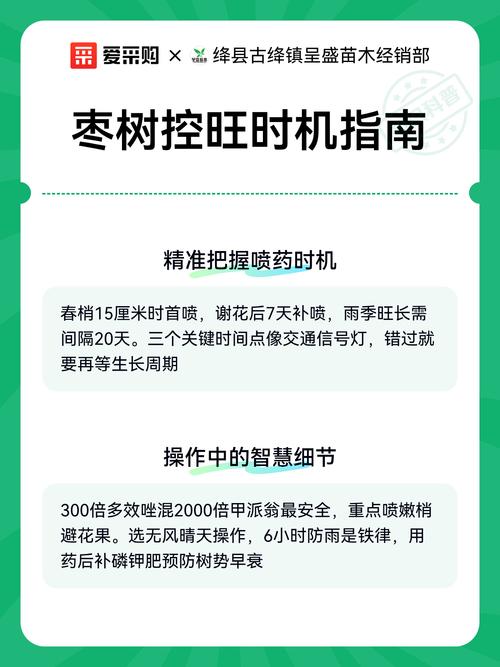 枣树长疯了,核心解决方法是冬季修剪重截留桩+夏季喷施15%多效唑300倍液控旺,并配合春季停施氮肥、增施磷钾肥。 授粉需求:自花结实品种是新手首选,异花授粉品种需配置授粉树