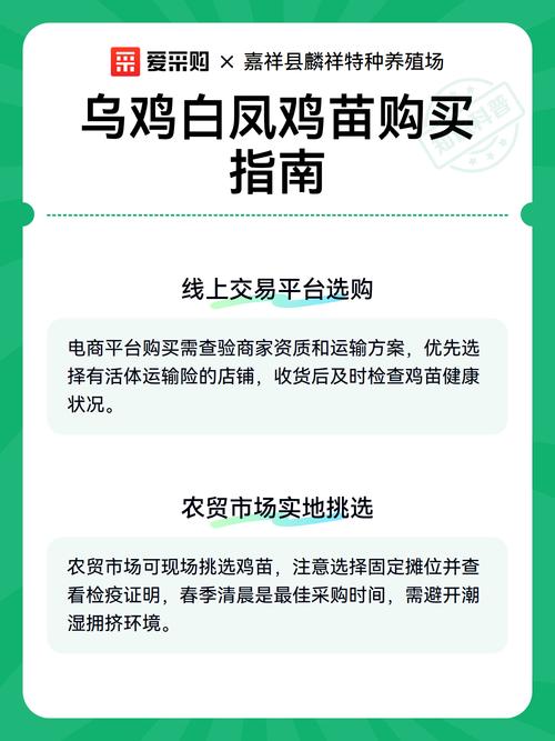 乌鸡苗采购渠道科学评估指南:如何避开虚假供应,买到健康纯种鸡苗 四、运输与装车方案:避免应激与死亡
