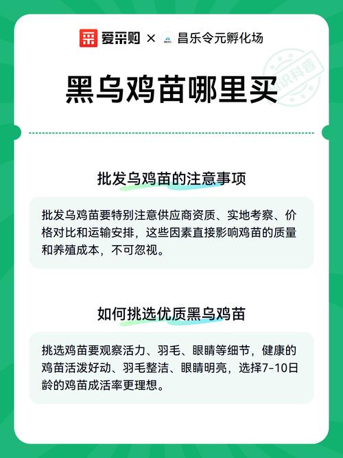 乌鸡苗采购渠道科学评估指南:如何避开虚假供应,买到健康纯种鸡苗 五、检疫与售后保障:书面文件不可少