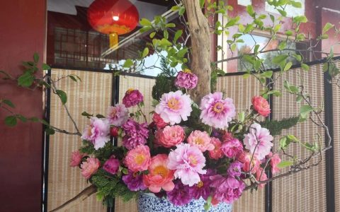 插花什么花期最长？这10种鲜切花瓶插寿命排名与延长技巧