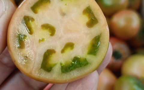 草莓柿子含糖量高吗及种植全攻略