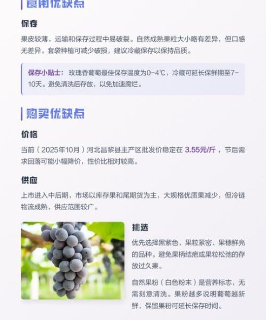 玫瑰香葡萄优缺点分析及种植指南：结果年限、修剪施肥与产量分析