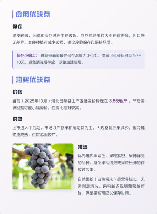 玫瑰香葡萄优缺点分析及种植指南:结果年限、修剪施肥与产量分析 玫瑰香葡萄优缺点分析及种植指南:结果年限、修剪施肥与产量分析