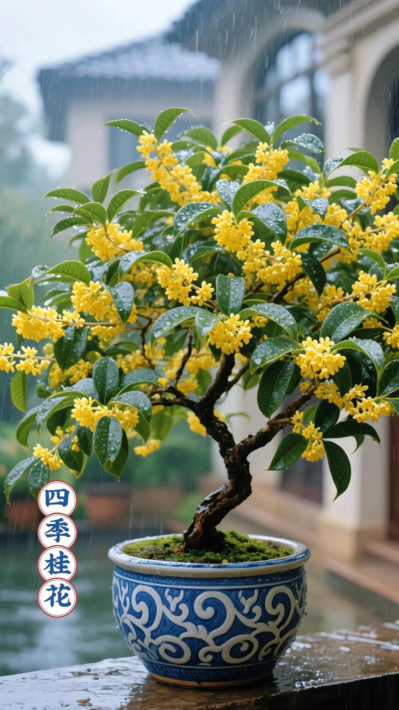 十公分粗的桂花树多少钱一颗?2026年价格参考与影响因素分析 季节:移栽旺季价格上浮10%-20%