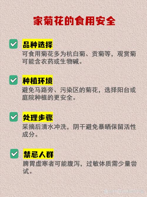 菊花能用开水泡吗?深度解析观赏与泡茶养护全攻略 常见误区与纠正