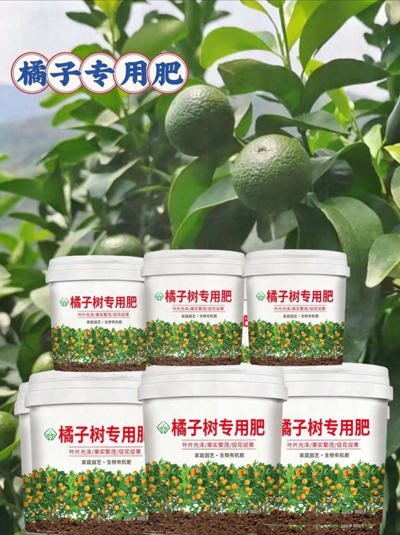 家庭桔子树养护全攻略:从浇水到越冬,掌握每个环节的关键 家庭桔子树养护全攻略:从浇水到越冬,掌握每个环节的关键