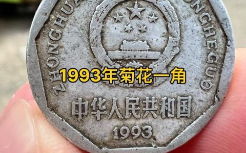 菊花一角价格参考：切花与盆栽市场行情全解析