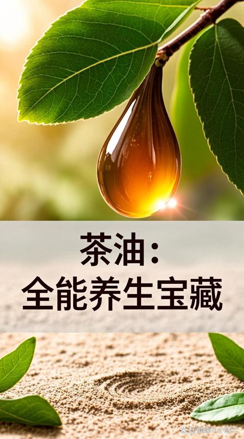 油茶树的作用:从茶油到传统药用,这些常识值得了解 油茶树的基本认识