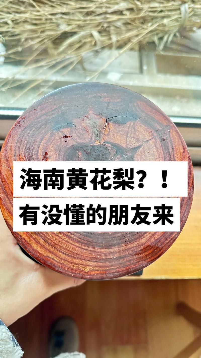 海南黄花梨现在多少钱一斤?2024年市场深度价格分析与报价指南 季节因素:雨季与旱季对采伐与运输的影响