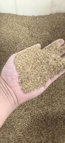 哪里有卖草籽?2026年采购渠道自查指南与供应商评估标准 售后保障:如何避开“补苗陷阱”?
