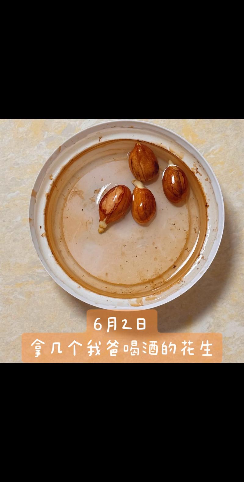 家庭手工种花生芽,3天出芽7天吃,零失败教程 二、准备介质(清水+托盘+吸水毛巾)