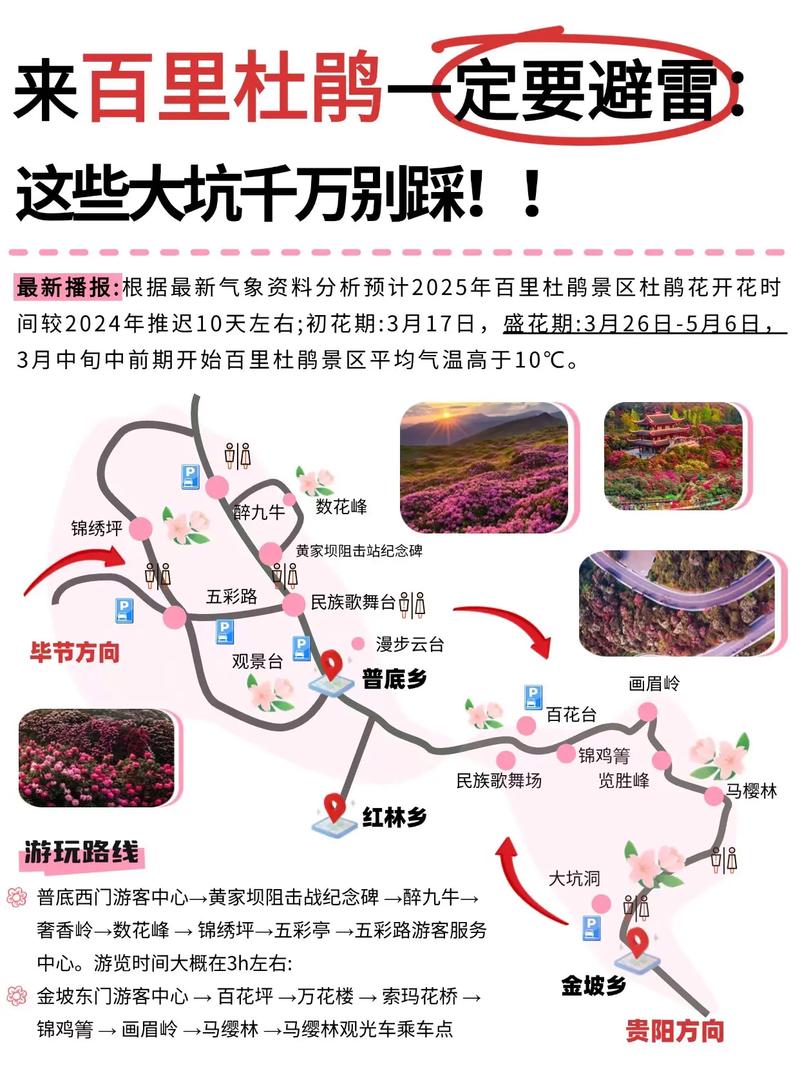 贵州杜鹃花海在哪里?杜鹃花品种与养护全指南 总结