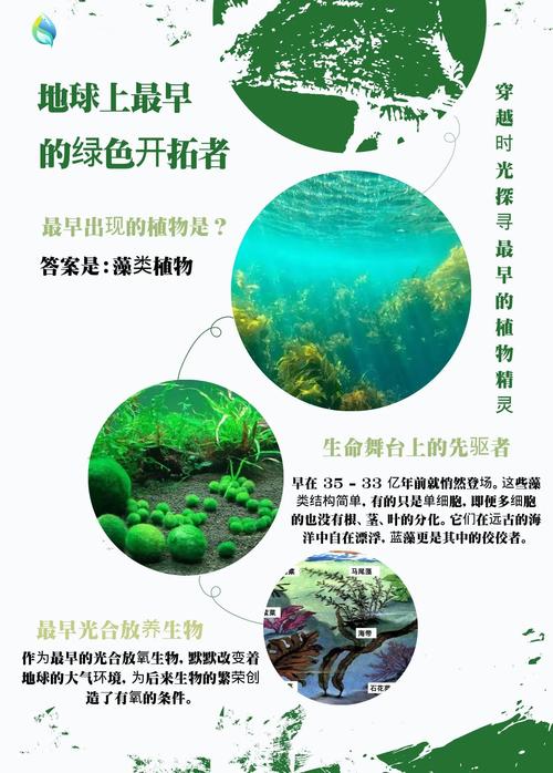 硅藻是水生植物吗?真相与池塘藻类管理实操指南 池塘藻类控制实操步骤