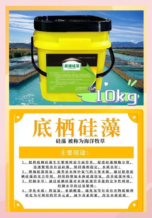 硅藻是水生植物吗?真相与池塘藻类管理实操指南 常见问题 (FAQ)