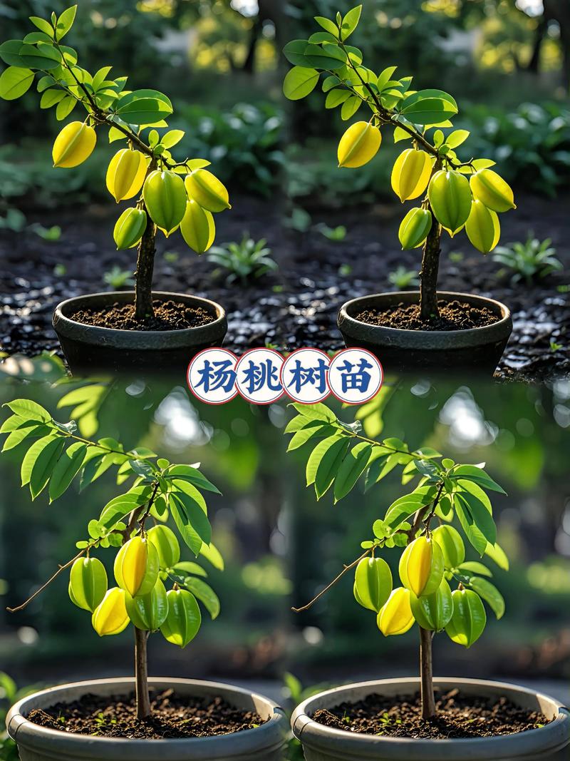 三、栽前处理：让树苗“轻装上阵”