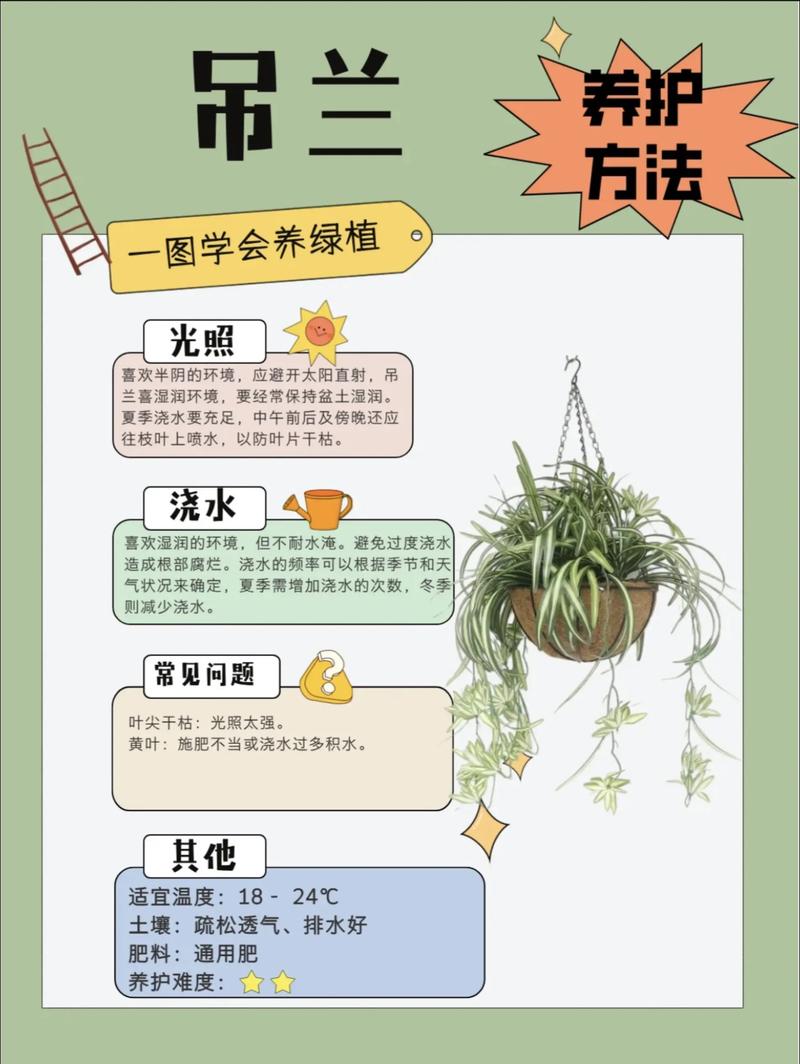 牡丹吊兰什么时候开花?家庭养护花期全解析与促花指南 影响牡丹吊兰开花的关键因素