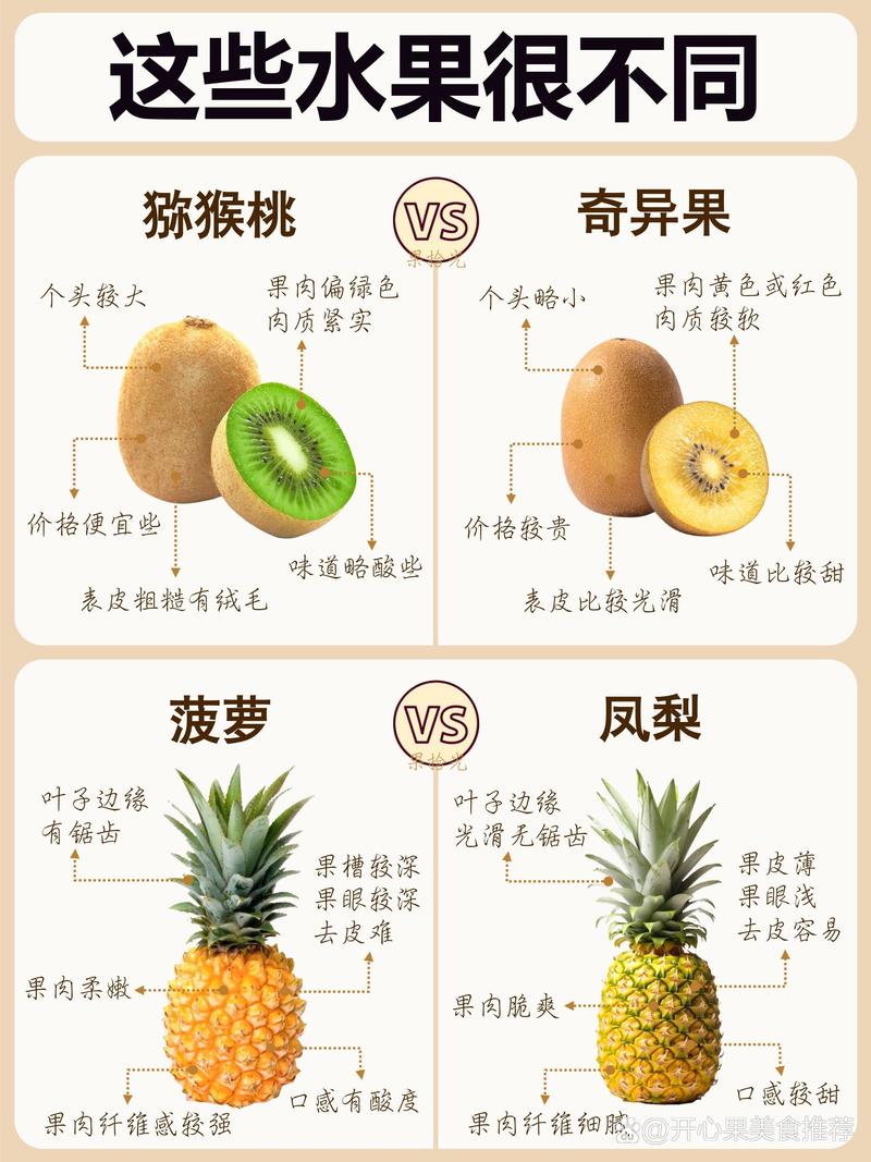 菲油果品种大比拼:“阿波罗”、“熊宝宝”与“瓦利”,哪个最好吃? 逻辑解释与关键差异分析