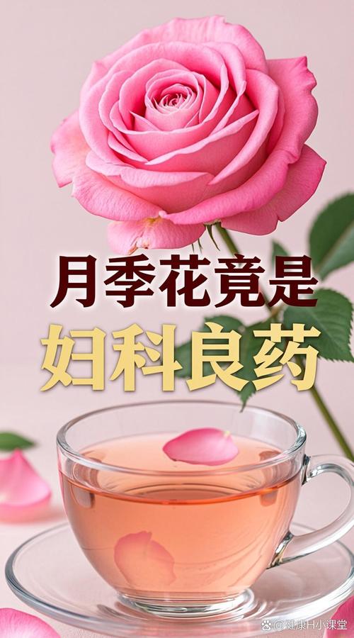 月季花的功效、食用与安全指南 月季花的七大功效(传统与科学视角)