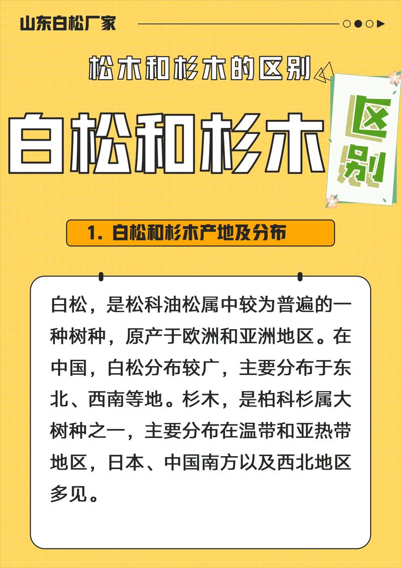 松木与杉木硬度对比:园艺选材指南 二、硬度对比:杉木更胜一筹