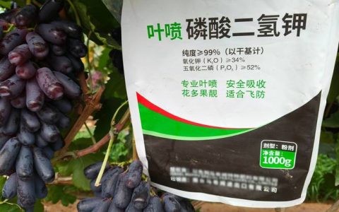 葡萄树磷酸二氢钾使用全攻略：精准配比与最佳施用时间