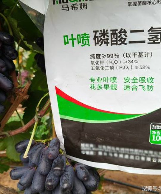 葡萄树磷酸二氢钾使用全攻略：精准配比与最佳施用时间