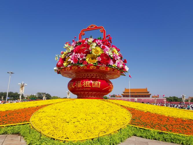 国庆节有什么花?这4种应景花卉让节日氛围更浓 2. 一串红:一抹热烈的中国红
