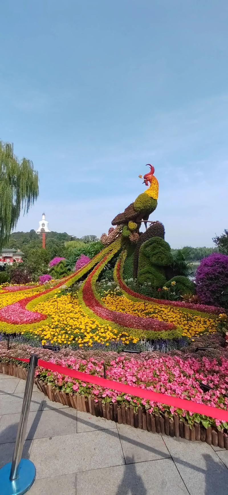 国庆节有什么花?这4种应景花卉让节日氛围更浓 国庆花境搭配小贴士