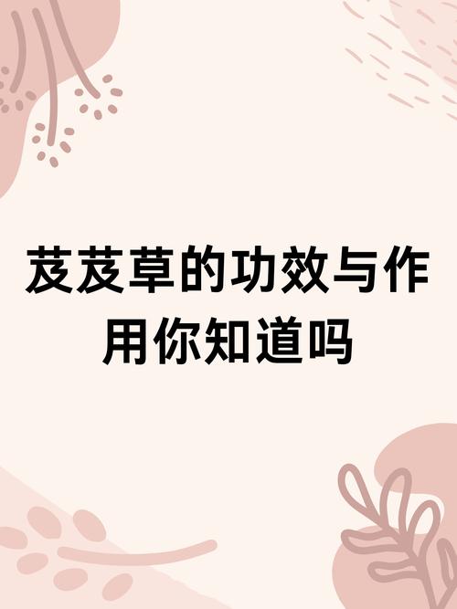 一、生态修复的“先锋植物”