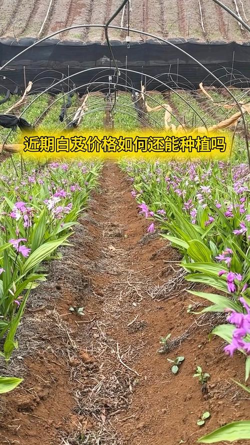 四、实用生活用途