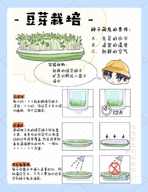 柚子的种子怎么种?家庭播种到出苗全流程实操指南 二、催芽:湿巾法5-7天露白