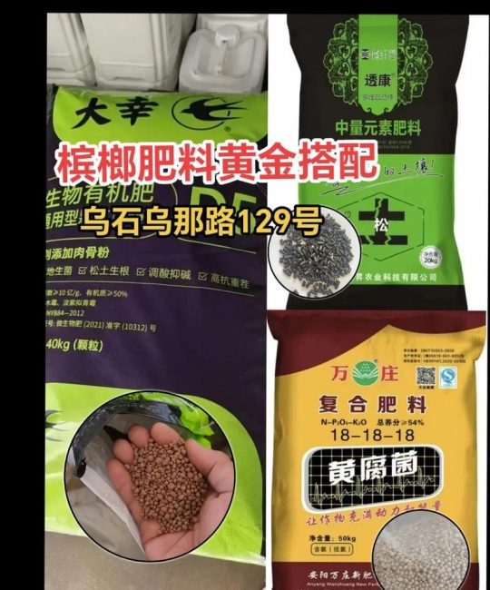 槟榔施肥指南：选对肥料，让槟榔树茁壮成长